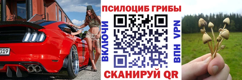 Галлюциногенные грибы мухоморы  Закаменск 