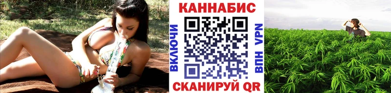 hydra маркетплейс  как найти закладки  Закаменск  Бошки Шишки планчик 